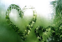 包含窗口期体能课后，尼斯篮板制胜备战德国杯，管理层满意，心理建设被强调的词条-爱游戏体育网页版